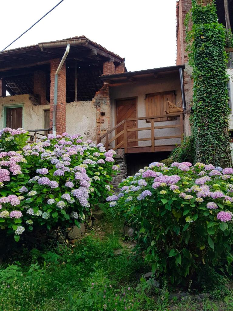 small village of Favi in Italy