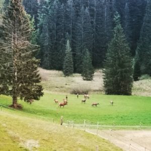 over-the-mole-festival-autour-des-spiritualites-dans-la-nature-en-haute-savoie