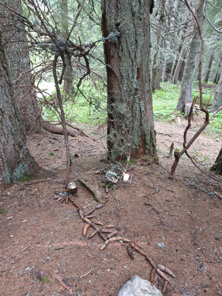 stage de chamanisme en forêt dans les Alpes